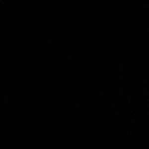 Meet your Posher, Lupe